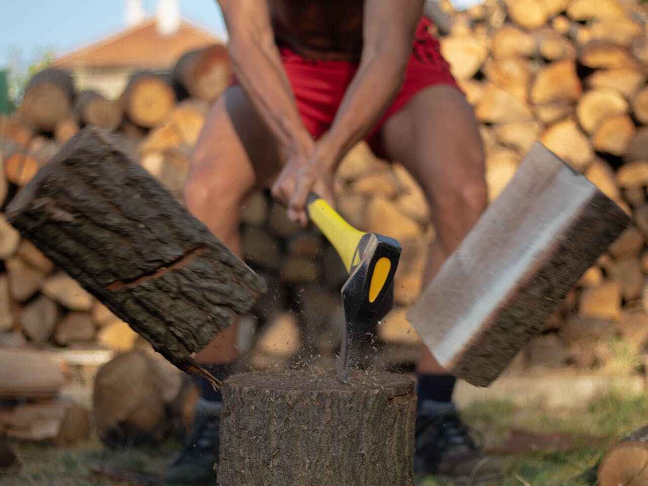 Best Tree Root Removal  in USA